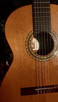 MANUEL RODRIGUEZ VZÁCNA GITARA - 4