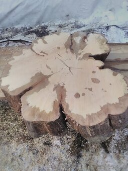 Predám rôzne vzduchosuché orechové, jaseňové, agátové, fošne - 4