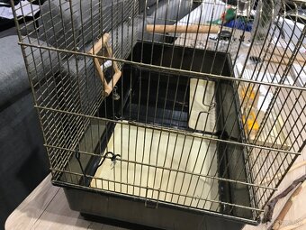 Klietka pre papagaje - 4