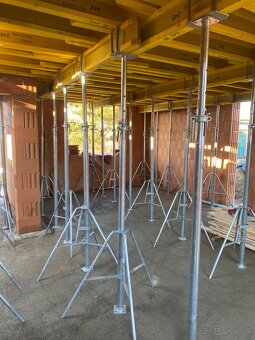 LEŠENIE - DEBNENIE - 4