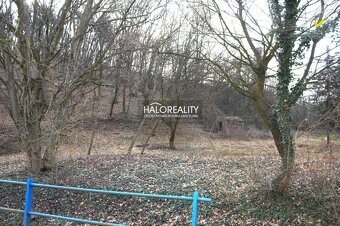 HALO reality - Predaj, pozemok pre rodinný dom 468 m2 Jalš - 4