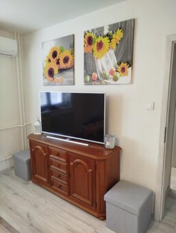 1-izbový byt – kompletne zrekonštruovaný, klimatizovaný - 4