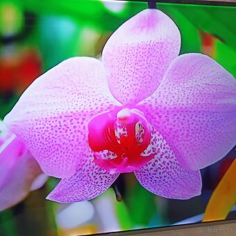 Samsung 55(138cm) smart led tv - 4