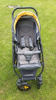 Kočík Camarelo - 4