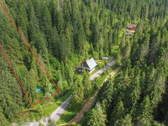 Stavebný pozemok s lesom na Orave – Brezovica 8.272 m² - 4