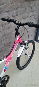 Bicykel Ctm 24" pink - 4