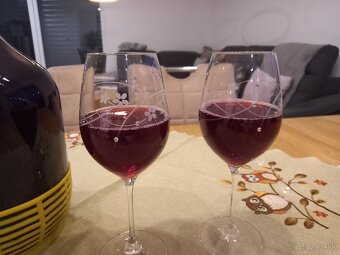 Domáce hroznové víno. - 4