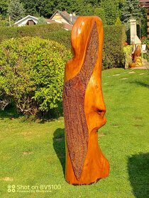 Dřevěné sochy - Abstrak - 4