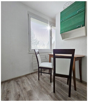 PRENÁJOM / 1 izbový byt BB / NEMCE - 4