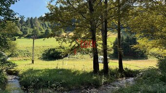 Na predaj - trvalý trávny porast - Rajecká Lesná - 4