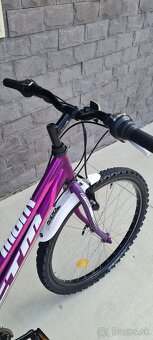 Bicykel Ctm 24" Mony fialovoruzovy - 4