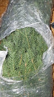 3D vianočný stromček - 4