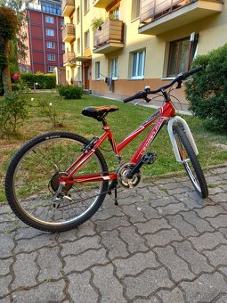 Bicykel Leader Fox Buffalo girl 24" - 4