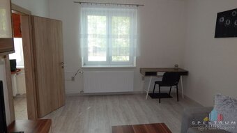 SPEKTRUM REALITY- Na PRENÁJOM komplet rekonštruovaný, zariad - 4