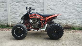 Yamaha YFM Raptor 250 SE - 4