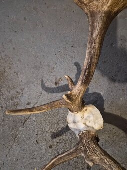 Trofe,parohy,zhody - 4