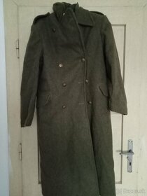 Koprivak belgicko - 4