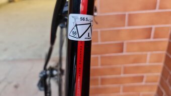 Specialized Roubaix Expert SL4 – Ultegra - 4