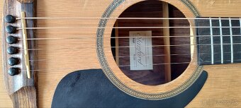 STANFORD (Furch) D1P - 4