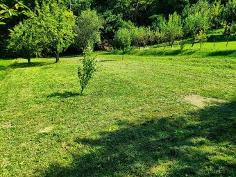 Záhrada v obci Bystré - majiteľ - 4