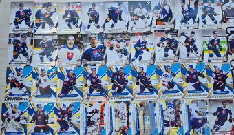 Hokejové kartičky slovenská repre 2023/2024 - 4