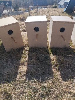 Hniezdiaca búdky - 4