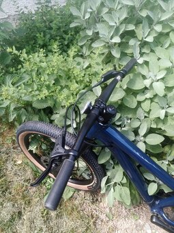 SPECIALIZED P.1 GLOSS deep 20" - 4