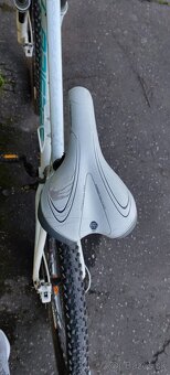 Lapierre Raid 700 (S) - 4