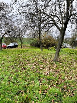Rekreačný domček so širokým slnečným pozemkom, Staré Levice - 4