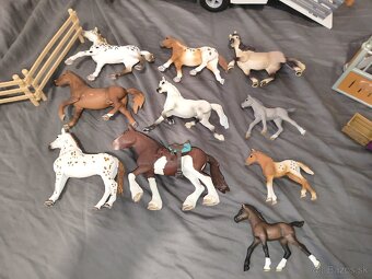 Schleich kone + auto - 4