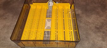 Predám Liaheň  inkubátor kurčatá - 4