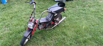 Babetta Stella 134 - 4