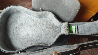 Gitara Mitchell. s puzdrom - 4