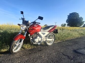 Predám Hondu CBF 250 - 4
