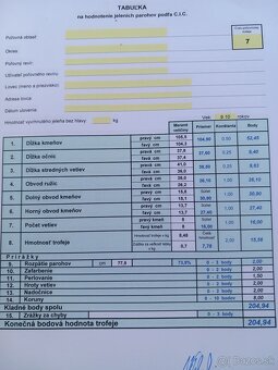 Trofej paroh zhod parohy parožie zhody jeleň - 4