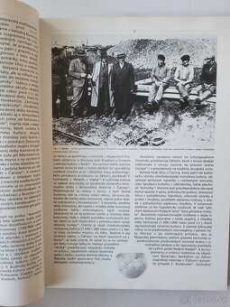 Mojmír Benža a kolektív - Senica, dejiny mesta - 4