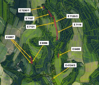 Brezová pod Bradlom - 6.300 m2 ORNÁ PÔDA a LES - 4