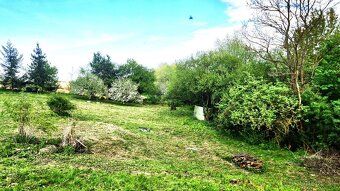 Ponúkame na predaj veľký pozemok na okraji obce. - 4