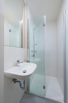Prodej moderně zrekonstruovaného bytu 2+kk - 4