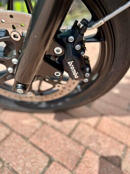 Predam Moto Guzzi V7 Stone I - 4
