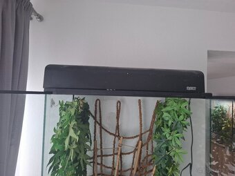 Terarium - 4