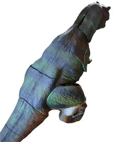 Model T-Rexa - 4