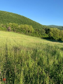 Predaj pozemok v prírode Jedľové Kostoľany - 4