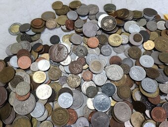 Mince 2.5kg lot4 - 4