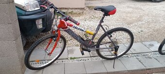 bicykel olpran falcon 24 - 4