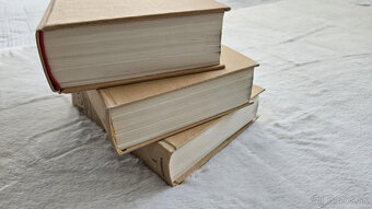 Ilustrovaný encyklopedický slovník 1-3 - 4