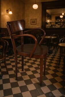 Velké kreslo THONET - 4