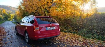 Octavia 3 2,0 TDI 110kw DSG - 4