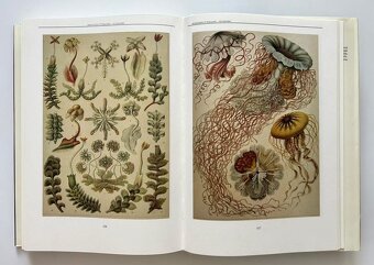 Nádherná séria encyklopédií - 4