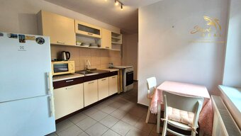 VEĽKÝ 1 izb byt _ 65 m2_ Prenájom_Parkovanie GRÁTIS - 4